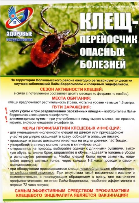 Профилактика клещевых инфекций.